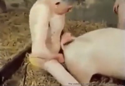 старый извращенец ебёт свинью