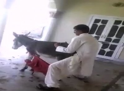 a man Fucks a donkey