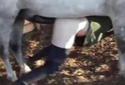 Horse fucked and cum in the man