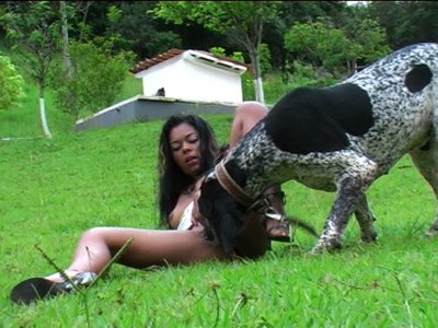 латинка сосет у собаки