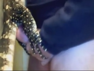 зоо секс с ящерицей