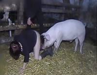 Нарезка женщина кончает от зоо секса с животными