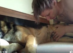 Зоофил ласково сосет собачий писюн в постели